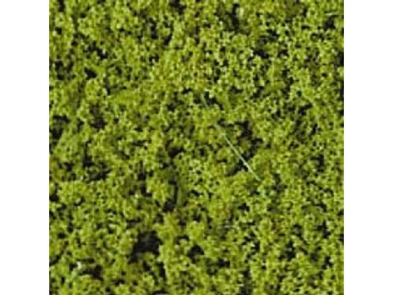 Compact foliage - light green  - image 1