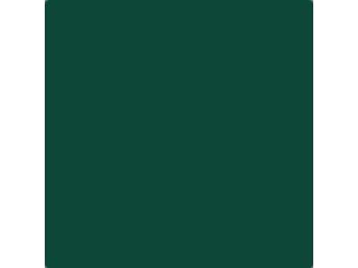 C383 Dark Green Kawanishi (Semi-gloss) - image 1