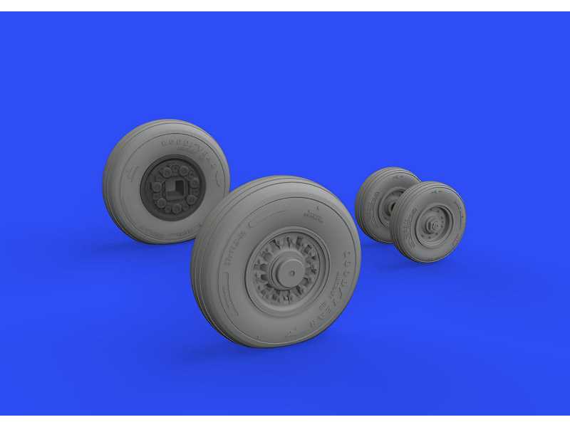 F-14D wheels 1/48 - Amk - image 1