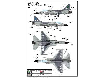 Chinese FC-1 (PAC JF-17 Thunder) Prototype 01&03 - image 3