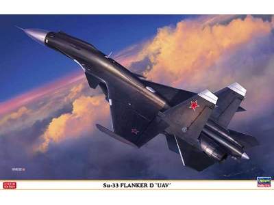Su-33 Flanker D 'uav' - image 1