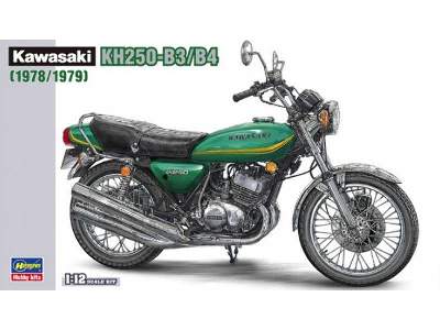 Kawasaki Kh250-b3/B4 (1978/1979) - image 1