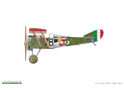 IL MAGNIFICO Hanriot HD. I in Italian service 1/48 - image 6