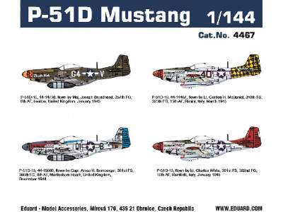P-51D Mustang 1/144 - image 1