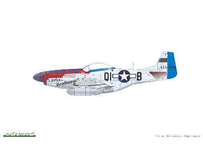 P-51D Mustang 1/144 - image 2