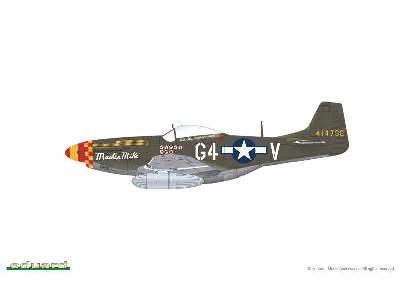 P-51D Mustang 1/144 - image 3