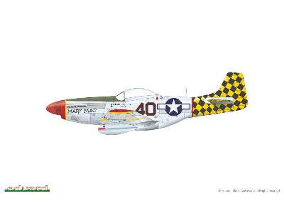 P-51D Mustang 1/144 - image 4