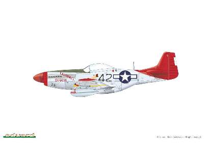 P-51D Mustang 1/144 - image 5