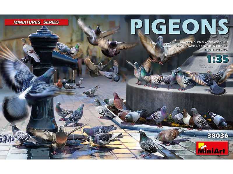Pigeons - image 1