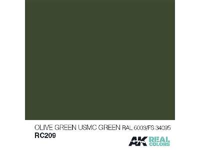 Rc209 Olive Green/Usmc Green RAL 6003/Fs34095 - image 1