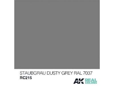 Rc215 Staubgrau-dusty Grey RAL 7037 - image 1