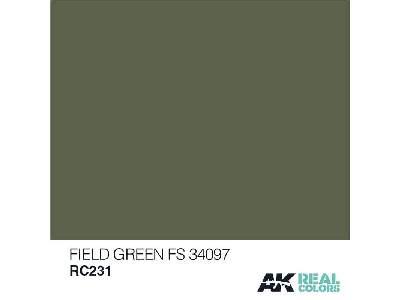 Rc231 Field Green FS 34097 - image 1