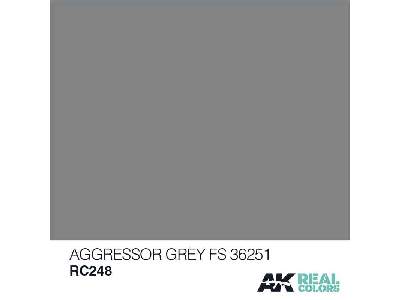 Rc248 Aggressor Grey FS 36251 - image 1