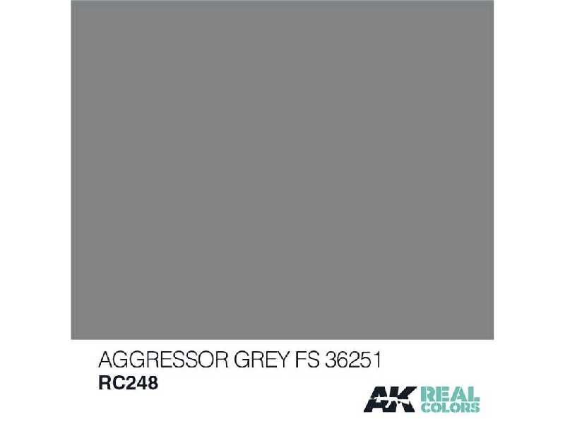 Rc248 Aggressor Grey FS 36251 - image 1