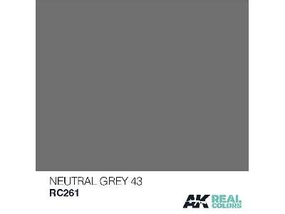 Rc261 Neutral Grey 43 - image 1