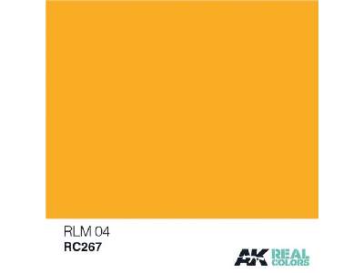 Rc267 RLM 04 - image 1