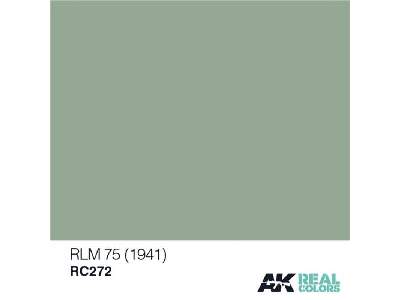 Rc272 RLM 65 (1941) - image 1