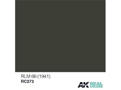 Rc273 RLM 66 - image 1