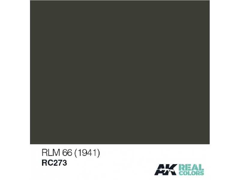 Rc273 RLM 66 - image 1