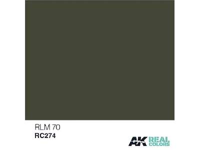 Rc274 RLM 70 - image 1