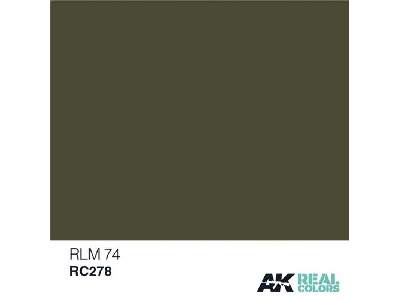 Rc278 RLM 74 - image 1