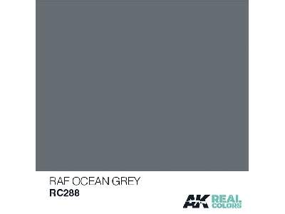 Rc288 RAF Ocean Grey - image 1