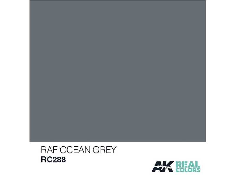 Rc288 RAF Ocean Grey - image 1