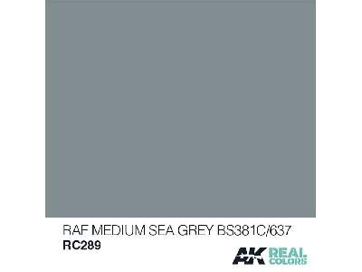 Rc289 RAF Medium Sea Grey Bs381c/637 - image 1