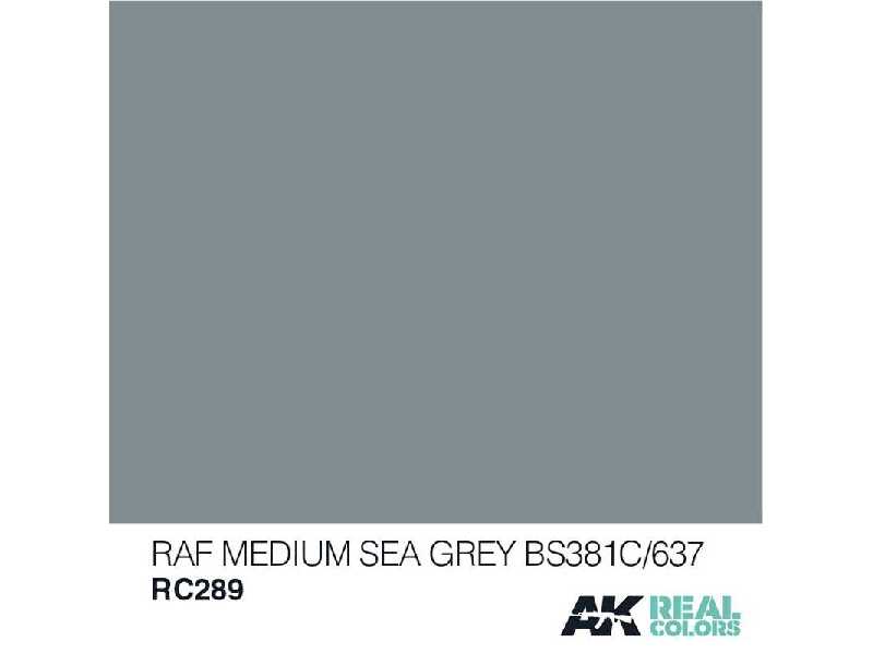 Rc289 RAF Medium Sea Grey Bs381c/637 - image 1