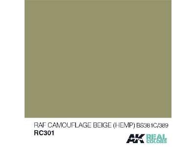 Rc301 RAF Camouflage Beige (Hemp) Bs 381c/389 - image 1