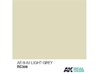 Rc308 Ae-9 / Aii Light Grey - image 1