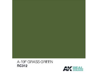 Rc312 A-19f Grass Green - image 1