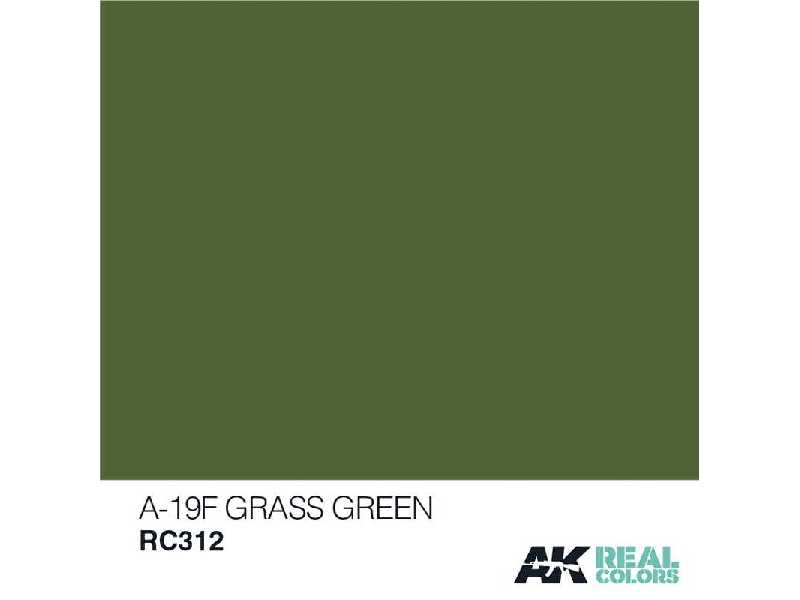 Rc312 A-19f Grass Green - image 1