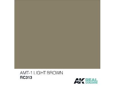 Rc313 Amt-1 Light Brown - image 1