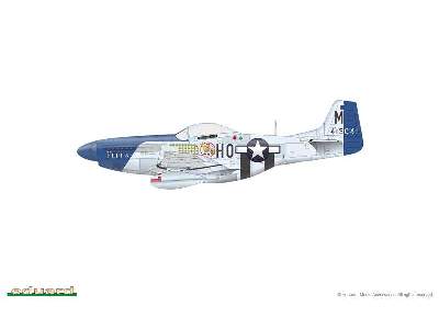 P-51D Mustang 1/48 - image 2