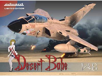 Tornado GR.1 in British service - Desert Babe 1/48 - image 1