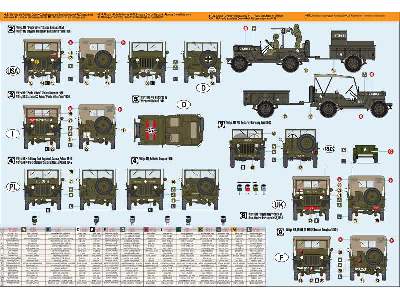 1/4 Tonn Truck Willys - image 2