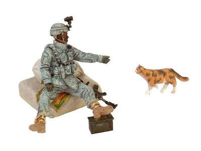 American Soldier With Cat - image 2