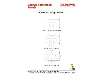 Decals - Allied Star Insignia White - image 2