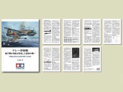 Battle of Malaya Set (w/Background Pamphlet) - image 4