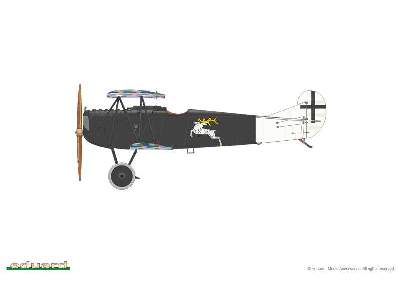 Fokker D. VII (Alb) - image 7