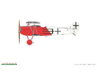Fokker D. VII (Alb) - image 8