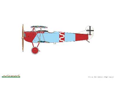Fokker D. VII (Alb) - image 9