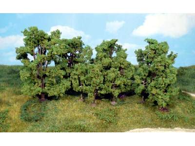 Deciduous trees - 6-13 cm - 12 pcs. - image 1