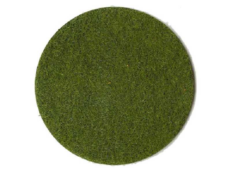 Medium green grass fiber - image 1