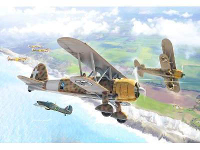 Fiat CR.42 Falco - image 1