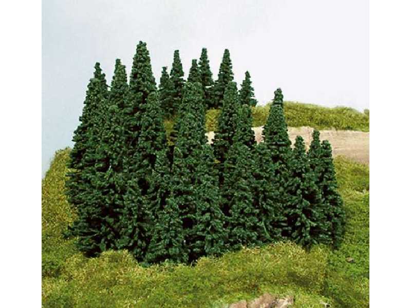 Spruces 5-14 cm - 100 pcs. - image 1