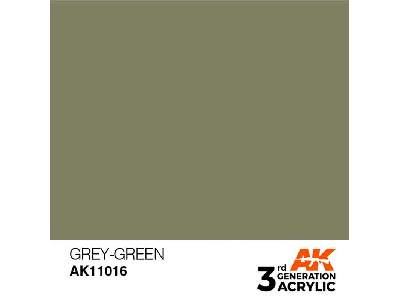 AK 11016 Grey-green - image 1