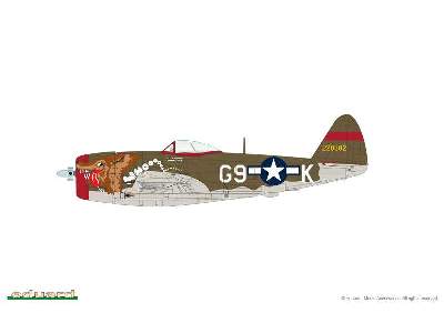 P-47D Bubbletop 1/144 - image 2