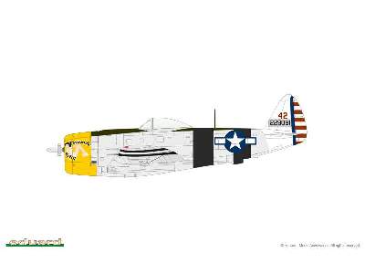 P-47D Bubbletop 1/144 - image 6